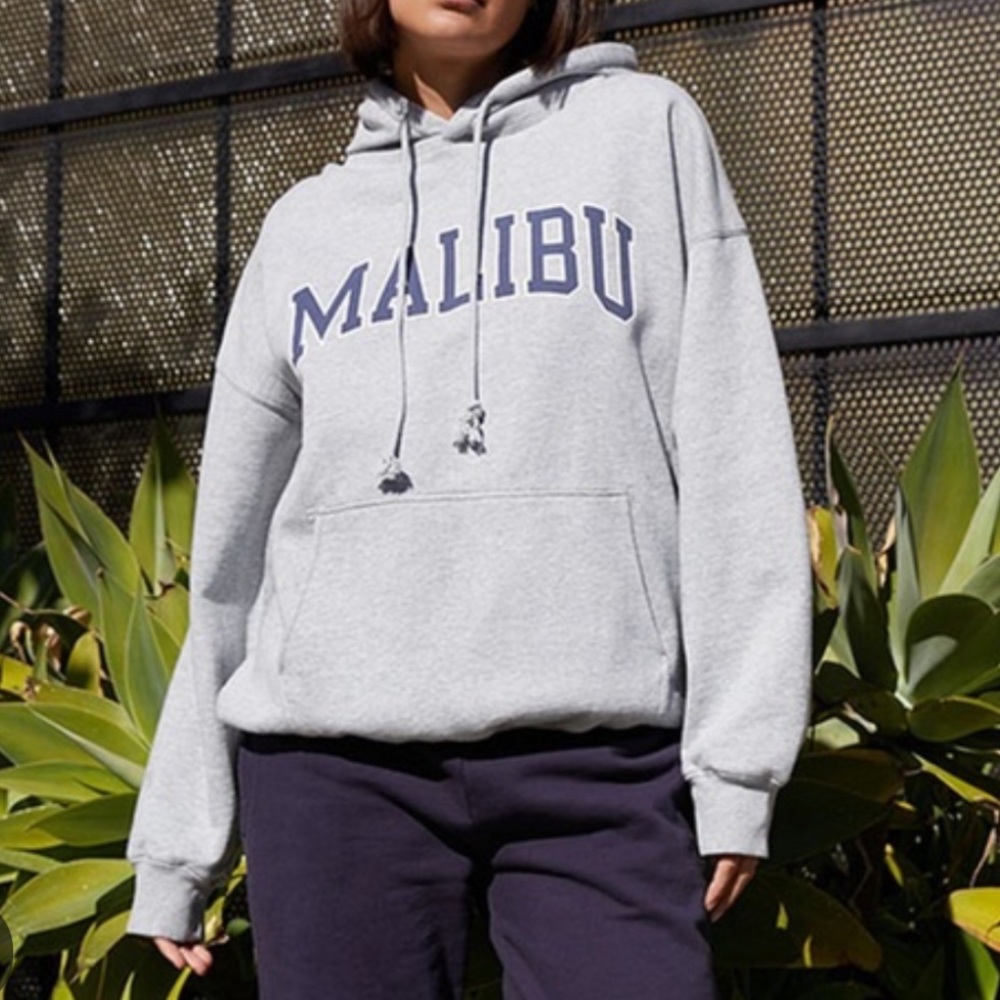 Brandy Melville / John Galt Malibu Grey / Gray Malibu hoodie